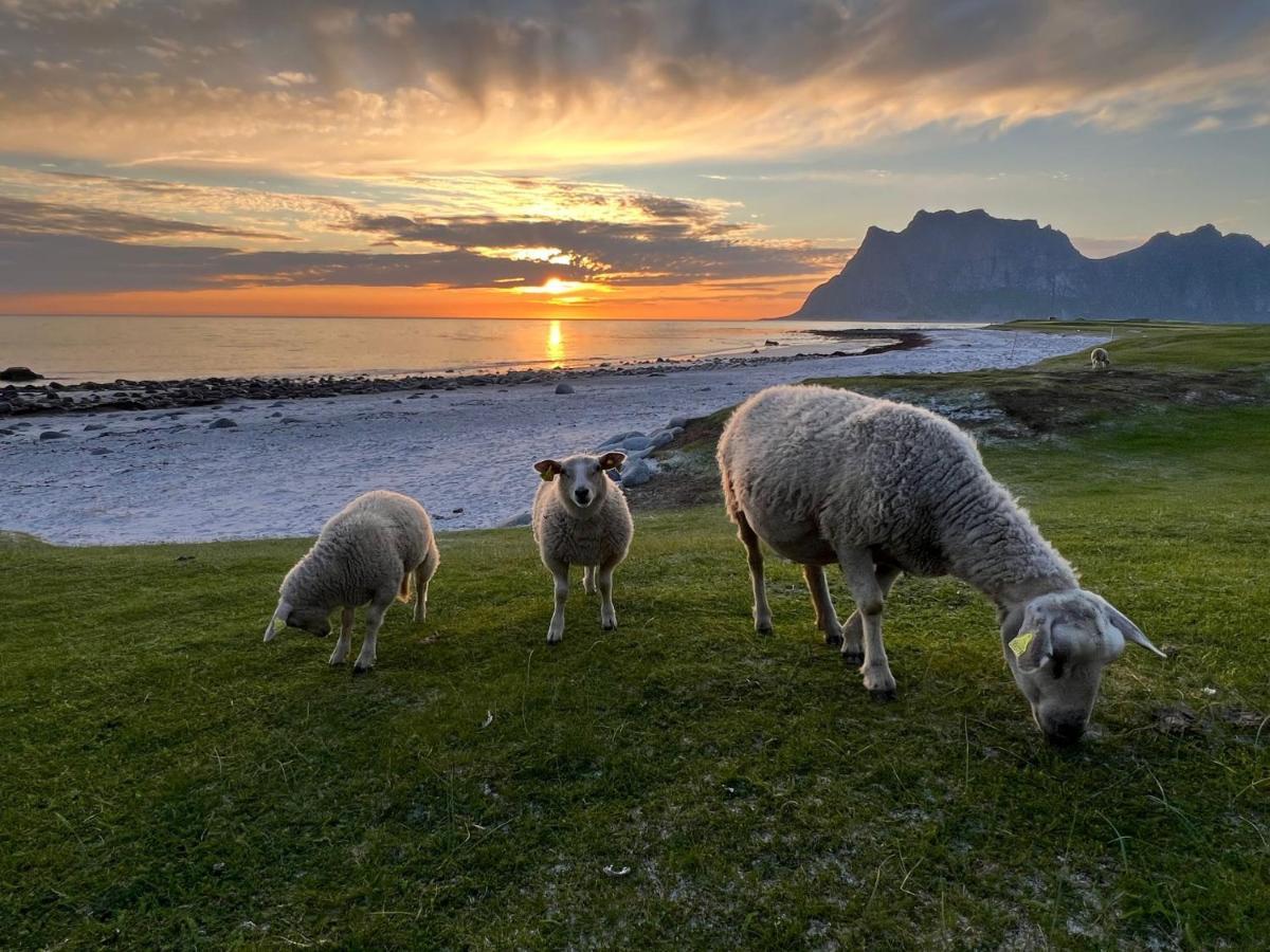 Real Fisherman'S Cabins In Ballstad, Lofoten מראה חיצוני תמונה